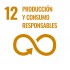 ODS 12