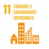 ODS 11